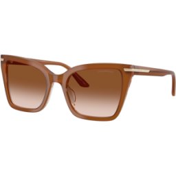 Giorgio Armani Óculos de sol Emporio Armani 0EA4273BU Castanho Tamanho: 53X19 Castanho