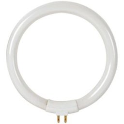 Velleman Lampada Fluorescente Circular T4 220V 12W p/ Candeeiros Lupa