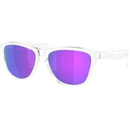 Óculos de sol Oakley FROGSKINS S 0OO9508 Prateados Tamanho: 53X16 Prateados