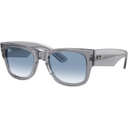Rayban Óculos de sol Ray Ban MEGA WAYFARER 0RB0840S Cinzento Tamanho: 51X21 Cinzento