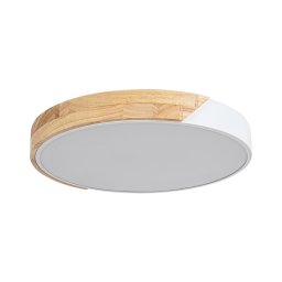 Rabalux 3527 - Iluminação de teto LED MAPLE LED/24W/230V branco