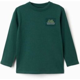 ZIPPY T-shirt de manga comprida de algodão Clay Horse para menino, verde Verde 5-6 Years