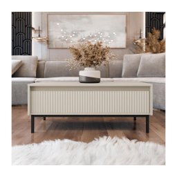 Mesa de centro OZMI 100x40 cm caxemira