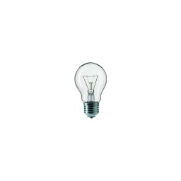 Lâmpada industrial CLEAR E27/100W/240V