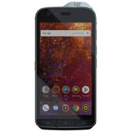 Cat S61
