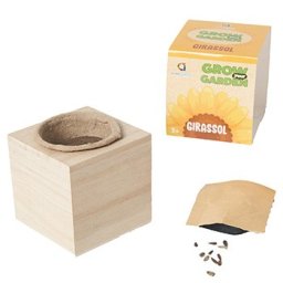 Grow your Garden Girassóis Ambarscience