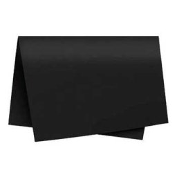 Cartolina 250g 50x65cm Preto - 5 folhas