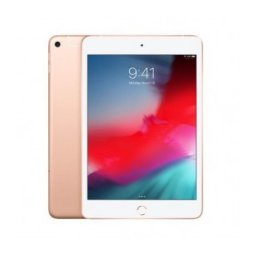 Apple iPad mini 5 WiFi + Cellular 256GB