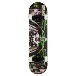 Tony Hawk SS 540 Complete - Wasteland