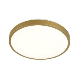 Iluminação de teto LED KERN LED/24W/230V d. 39 cm