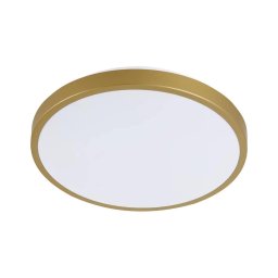 Iluminação de teto LED KERN LED/15W/230V d. 29 cm