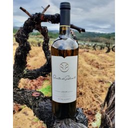 Garrafa Vinho Branco 75cl Quinta do Salvante RESERVA