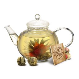 Flor de Chá Sol Nascente