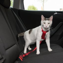 Trixie cinto de segurança vermelho para gatos