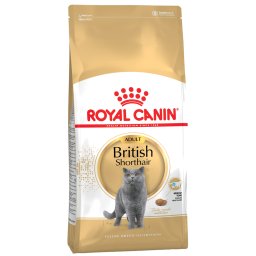 2 kg British Shorthair Adult Royal Canin ração