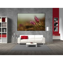Tablou canvas flori in natura - cod A21