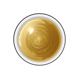 Gel colorat unghii Royal Femme RETRO GOLD (Geluri Profesionale Unghii)