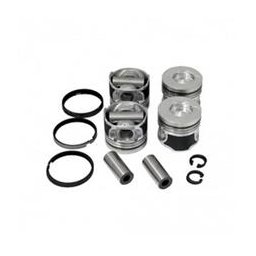 Set Piston Echipat R1 1.5 Dci Ø25 Bk17115-1 Autosp