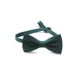 Papion lana Gentlemen`s Corner - verde - NOU!