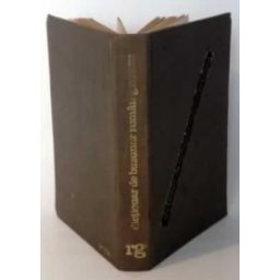 dictionar de buzunar roman german