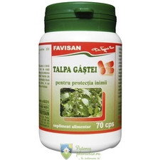 Talpa gastei capsule - Favisan