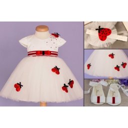Set botez Summer Ladybug