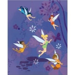 Paturica 'Disney's Fairies