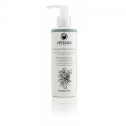 Sampon antimatreata Odylique cu tea tree si plante, 200ml