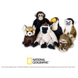 National Geographic V770701