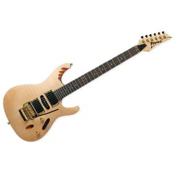 Ibanez EGEN8-PLB