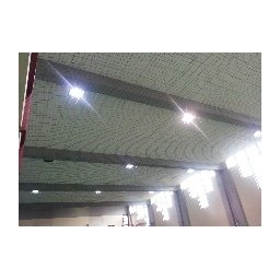 Plasa protectie tavan sala de sport, fir nylon 50 mm