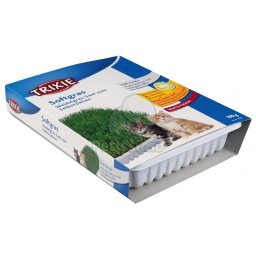 Trixie Iarba pentru pisici 100 g (TRX4232)