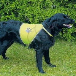 Trixie SaferLife Light vestă de siguranță reflectorizantă câini M (TRX30082)