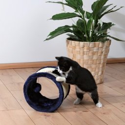 Trixie Ansamblu De Zgariat Pentru Pisici, Rola albastru (TRX4324)