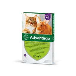 Advantage Spot On pisici/iepuri 4 pipete x 0,8 ml (Advantage 80)