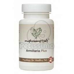 Mushrooms4pets Armillaria Plus 60 buc