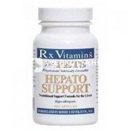 Rx Vitamins Hepato Support capsule 90 capsule