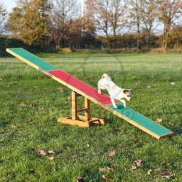 Trixie Agility - Balansoar câini 300 × 54 × 34 cm (TRX3213)