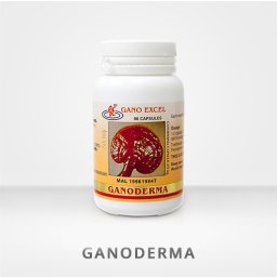 Ganoderma Lucidum