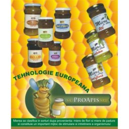 Miere tei borcan 400g