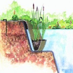 Sac de margine pentru plante acvatice Oase