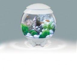 Set complet acvariu cu decoratiuni BiOrb Halo 15 litri MCR, alb