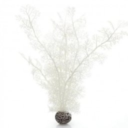 Decoratiune planta marina alba mare