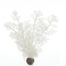 Decoratiune planta marina alba medie