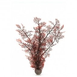 Decoratiune planta marina purpurie mare