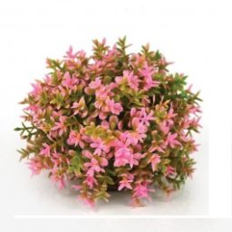 Minge de flori roz decorativa