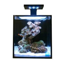 Lampa pentru acvarii marine SkkyeLight Clamp /black -10K/456nm 18 w