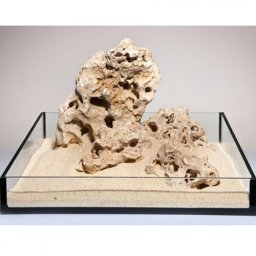 Piatra multi-holestone cu multe gauri mici