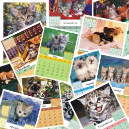 Calendar de perete P4 cu pisicute A5; A4 sau A3