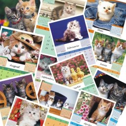 Calendar de perete P5 cu pisicute A5, A4 sau A3